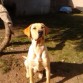 ES TODO UN MODELO JAJAA